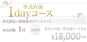 1day プラン