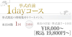 1day プラン