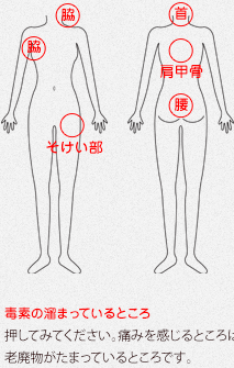 毒素の溜まっているところ