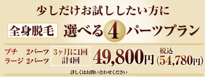 少しだけお試ししたい方に 全身脱毛 「選べる4パーツプラン」