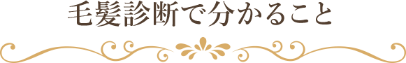 毛髪診断で分かること